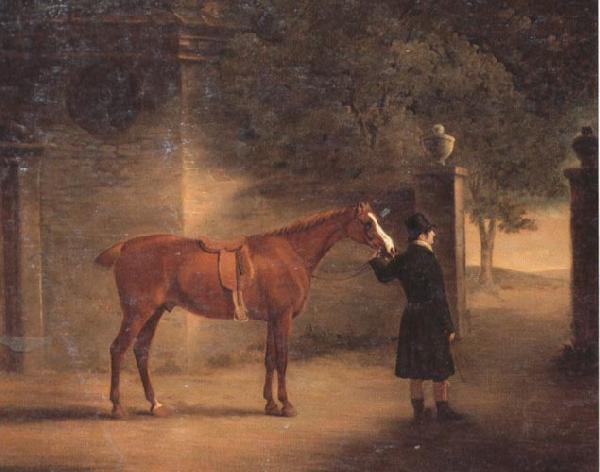 John Ferneley Mr Wombell's Hunter with a Groom in a Courtyard oil painting image